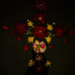 Floral Balance #10 - Photographs>Floral Balance - 2025 - Iren Ivanova