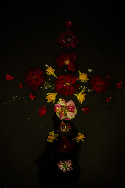 Floral Balance #10 - Photographs>Floral Balance - 2025 - Iren Ivanova