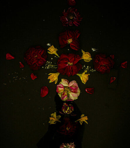 Floral Balance #10 - Photographs>Floral Balance - 2025 - Iren Ivanova