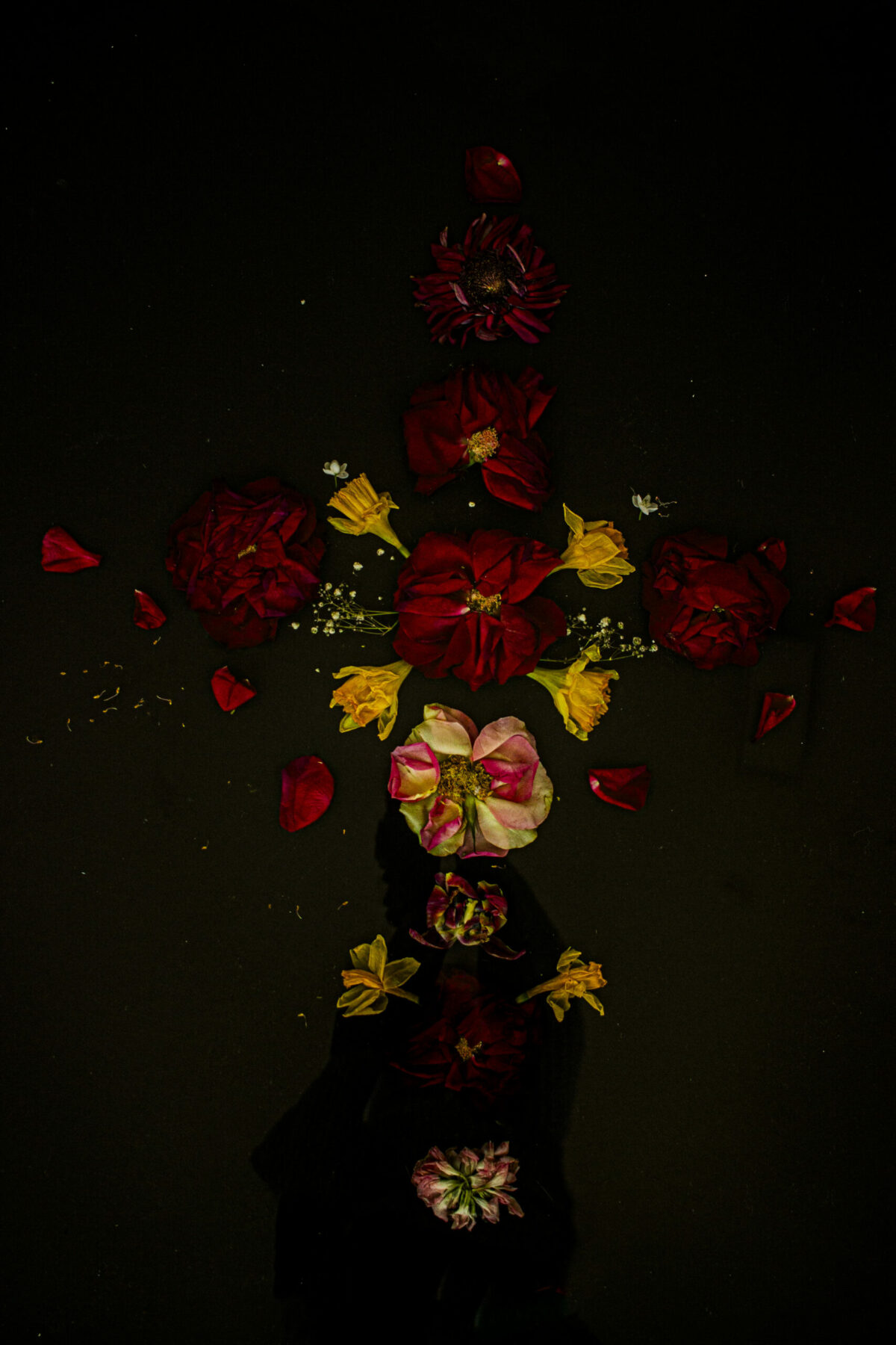 Floral Balance #10 - Photographs>Floral Balance - 2025 - Iren Ivanova Floral Balance #10 - Photographs>Floral Balance - 2025 - Iren Ivanova