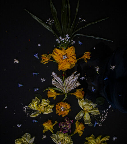 Floral Balance #8 - Photographs>Floral Balance - 2025 - Iren Ivanova