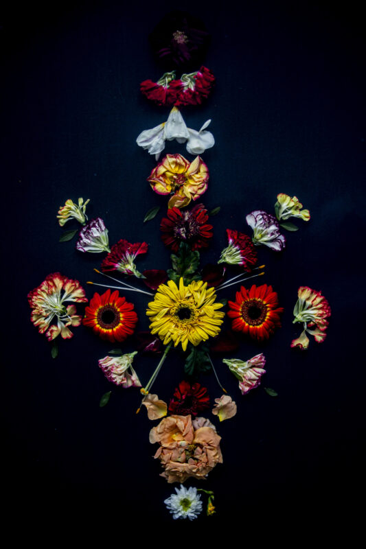 Floral Balance #3 - Photographs>Floral Balance - 2025 - Iren Ivanova