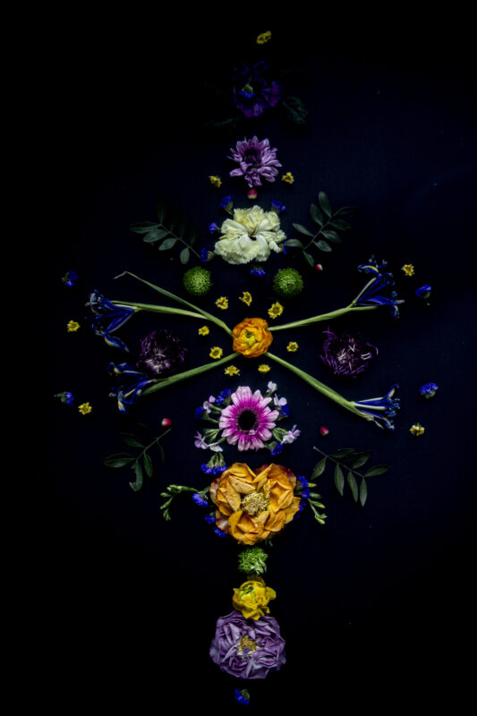 Floral Balance #4 - Photographs>Floral Balance - 2025 - Iren Ivanova
