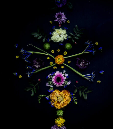 Floral Balance #4 - Photographs>Floral Balance - 2025 - Iren Ivanova