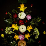 Floral Balance #5 - Photographs>Floral Balance - 2025 - Iren Ivanova