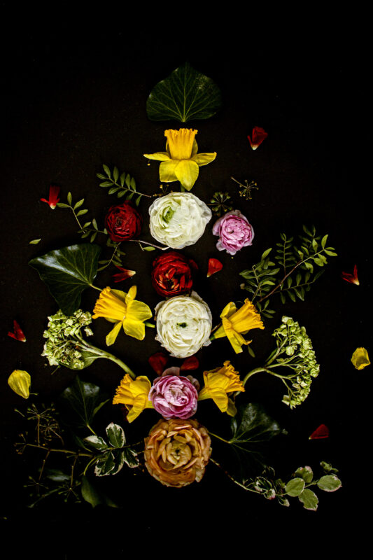 Floral Balance #5 - Photographs>Floral Balance - 2025 - Iren Ivanova