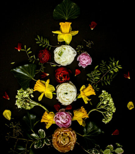 Floral Balance #5 - Photographs>Floral Balance - 2025 - Iren Ivanova