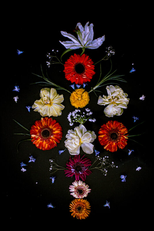 Floral Balance #6 - Photographs>Floral Balance - 2025 - Iren Ivanova