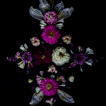 Floral Balance #7 - Photographs>Floral Balance - 2025 - Iren Ivanova