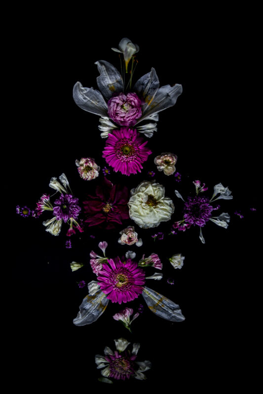 Floral Balance #7 - Photographs>Floral Balance - 2025 - Iren Ivanova