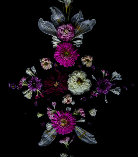 Floral Balance #7 - Photographs>Floral Balance - 2025 - Iren Ivanova