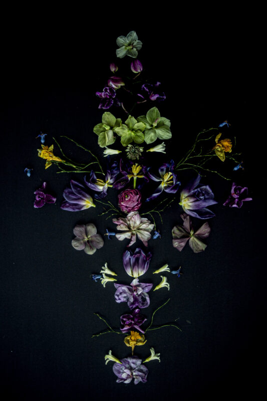 Floral Balance #9 - Photographs>Floral Balance - 2025 - Iren Ivanova
