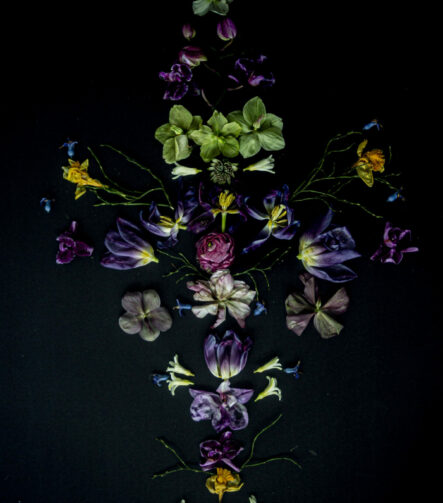 Floral Balance #9 - Photographs>Floral Balance - 2025 - Iren Ivanova