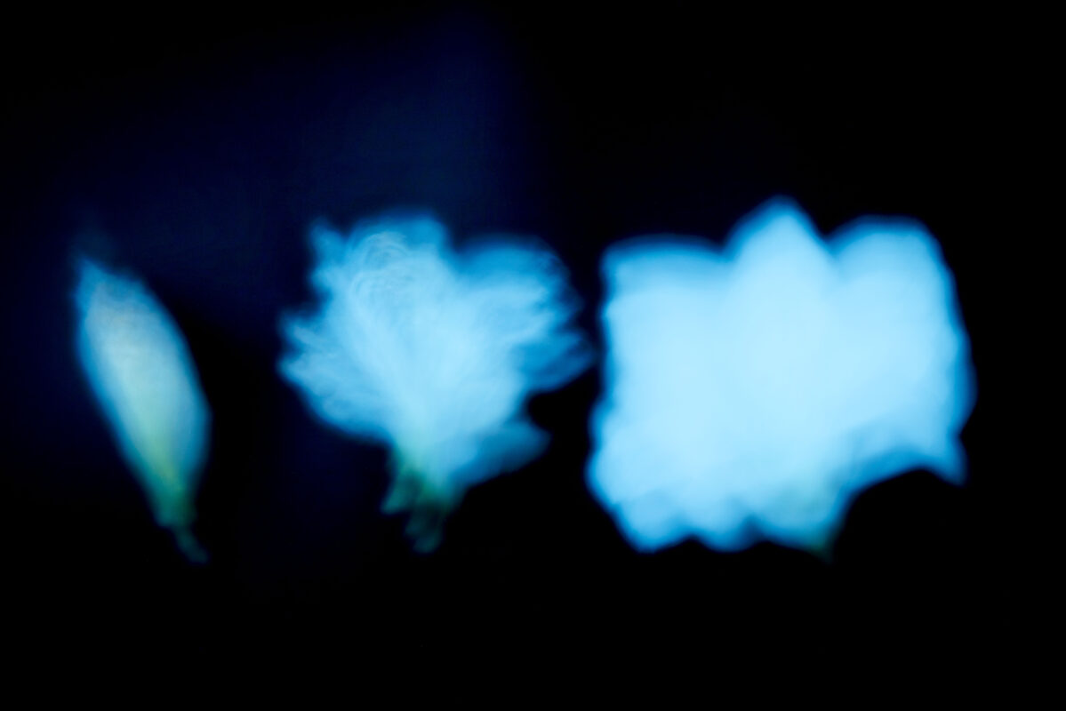 Shadows II - Photographs>Shadows - 2026 - Iren Ivanova