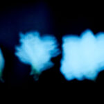 Shadows II - Photographs>Shadows - 2026 - Iren Ivanova