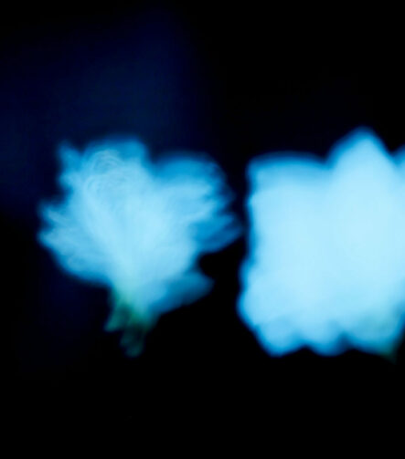 Shadows II - Photographs>Shadows - 2026 - Iren Ivanova