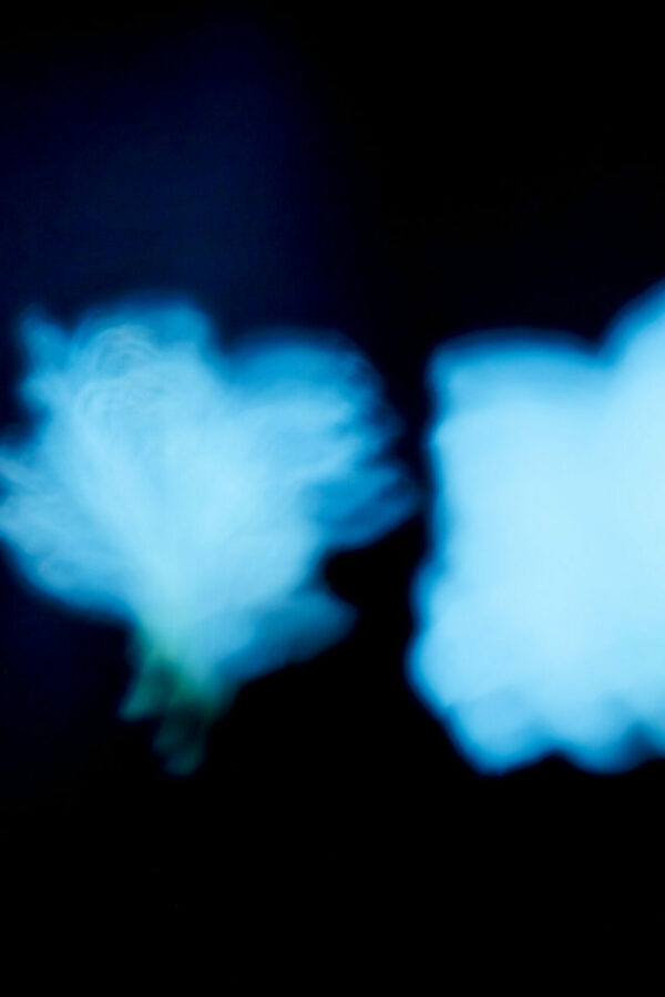 Shadows II - Photographs>Shadows - 2026 - Iren Ivanova