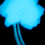 Shadows III - Photographs>Shadows - 2026 - Iren Ivanova