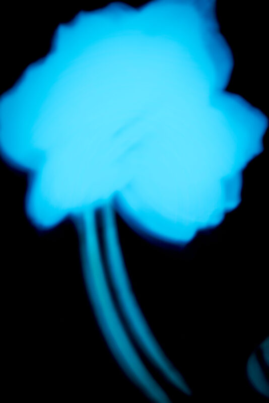 Shadows III - Photographs>Shadows - 2026 - Iren Ivanova