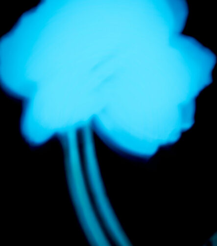 Shadows III - Photographs>Shadows - 2026 - Iren Ivanova