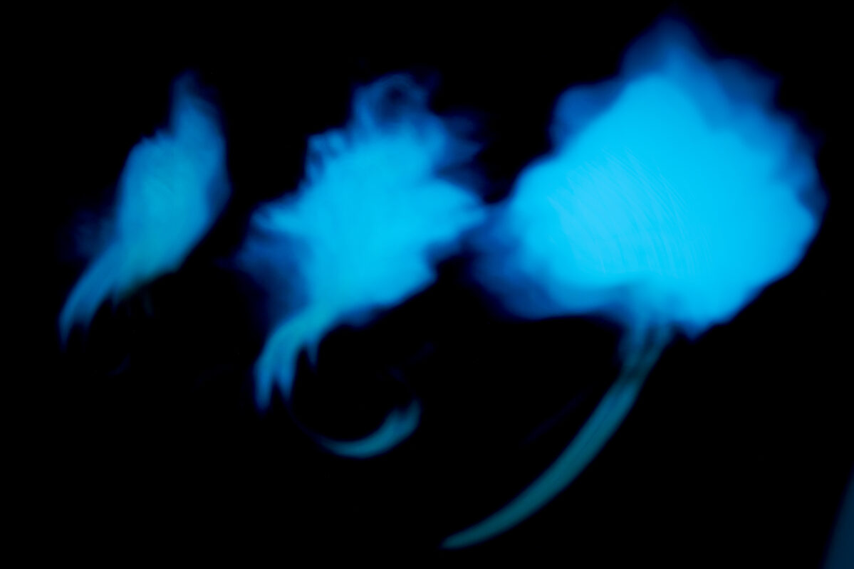 Shadows V - Photographs>Shadows - 2026 - Iren Ivanova