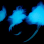 Shadows V - Photographs>Shadows - 2026 - Iren Ivanova