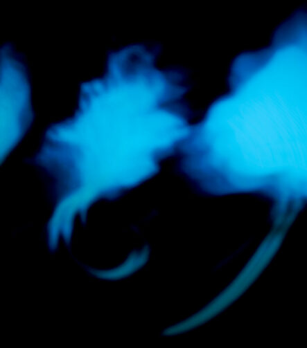 Shadows V - Photographs>Shadows - 2026 - Iren Ivanova