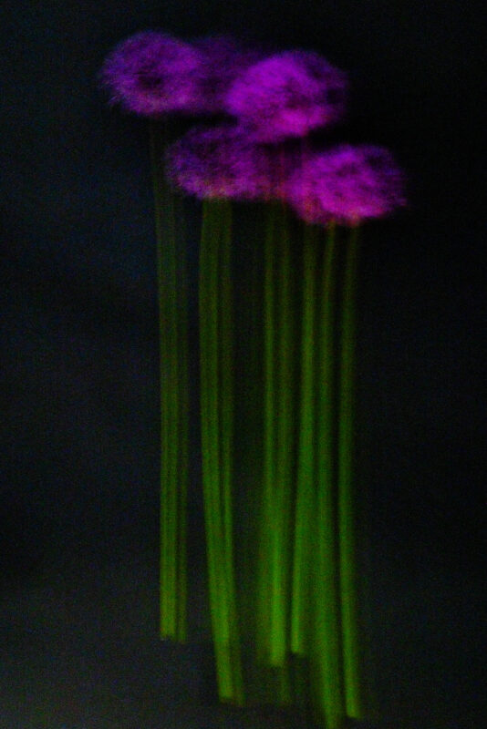 Touch #1 - Photographs>Touch - 2025 - Iren Ivanova