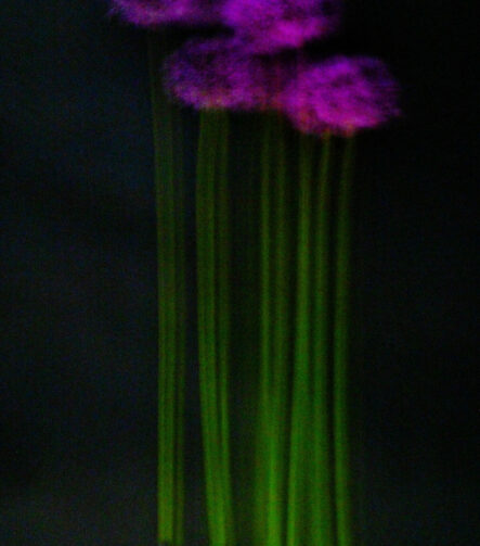 Touch #1 - Photographs>Touch - 2025 - Iren Ivanova