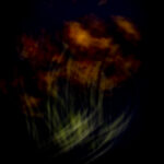 Touch #10 - Photographs>Touch - 2025 - Iren Ivanova