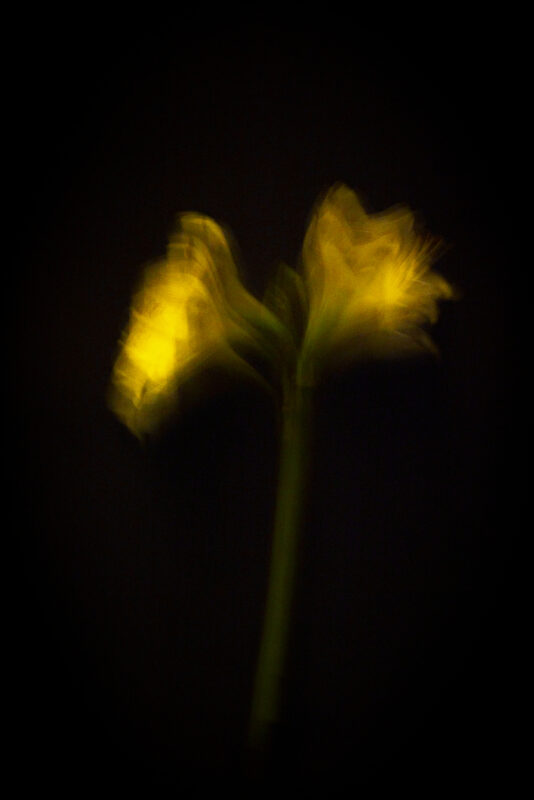 Touch #11 - Photographs>Touch - 2025 - Iren Ivanova
