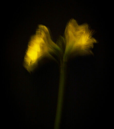 Touch #11 - Photographs>Touch - 2025 - Iren Ivanova