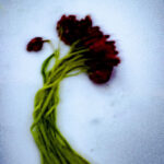 Touch #12 - Photographs>Touch - 2025 - Iren Ivanova