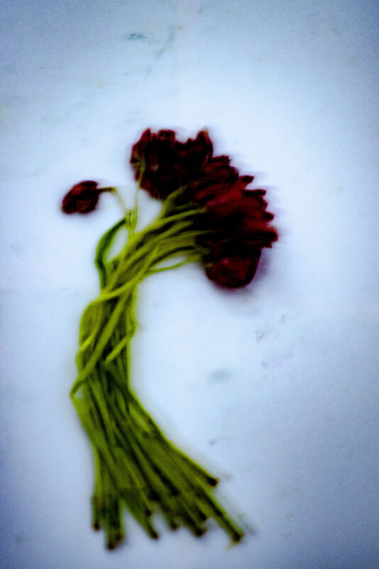 Touch #12 - Photographs>Touch - 2025 - Iren Ivanova