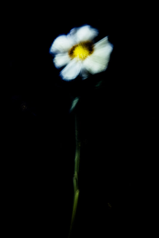 Touch #2 - Photographs>Touch - 2025 - Iren Ivanova