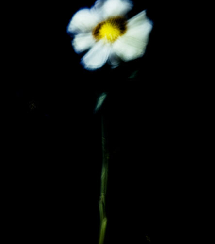 Touch #2 - Photographs>Touch - 2025 - Iren Ivanova