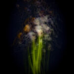 Touch #3 - Photographs>Touch - 2025 - Iren Ivanova