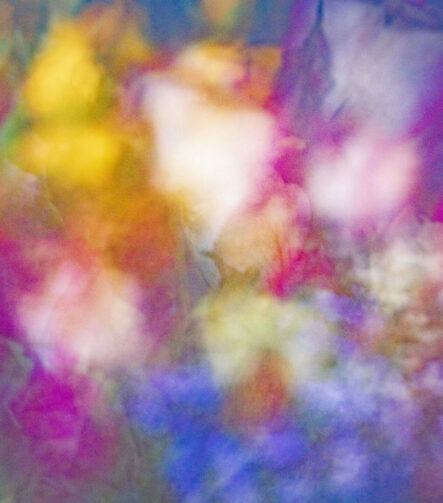 Touch #4 - Photographs>Touch - 2025 - Iren Ivanova