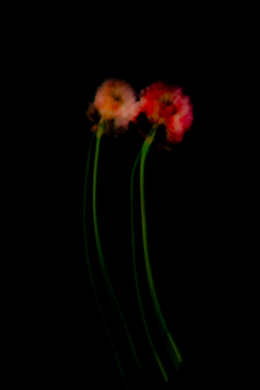 Touch #5 - Photographs>Touch - 2025 - Iren Ivanova