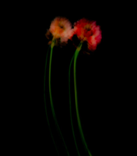 Touch #5 - Photographs>Touch - 2025 - Iren Ivanova
