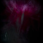 Touch #6 - Photographs>Touch - 2025 - Iren Ivanova