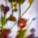 Touch #7 - Photographs>Touch - 2025 - Iren Ivanova