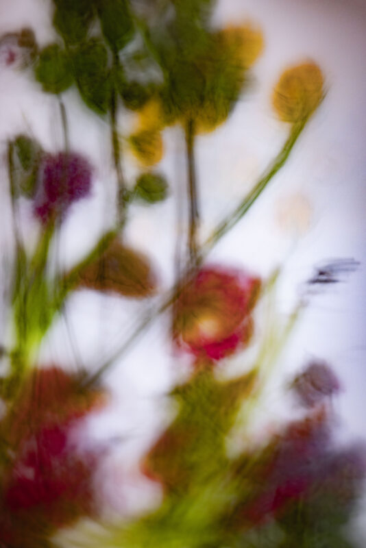 Touch #7 - Photographs>Touch - 2025 - Iren Ivanova