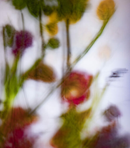 Touch #7 - Photographs>Touch - 2025 - Iren Ivanova