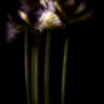Touch #8 - Photographs>Touch - 2025 - Iren Ivanova