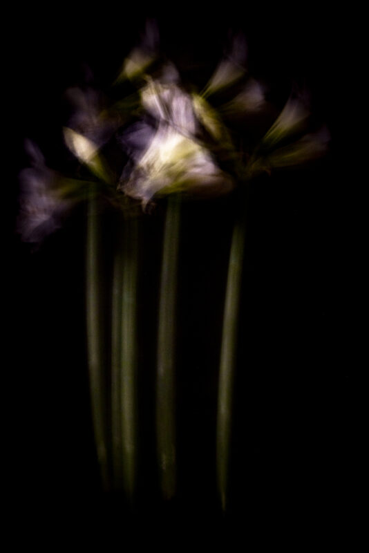 Touch #8 - Photographs>Touch - 2025 - Iren Ivanova