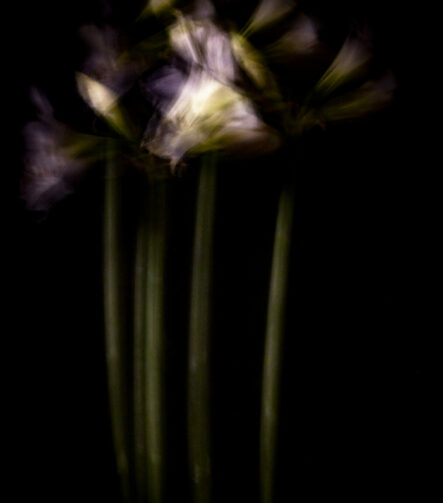 Touch #8 - Photographs>Touch - 2025 - Iren Ivanova