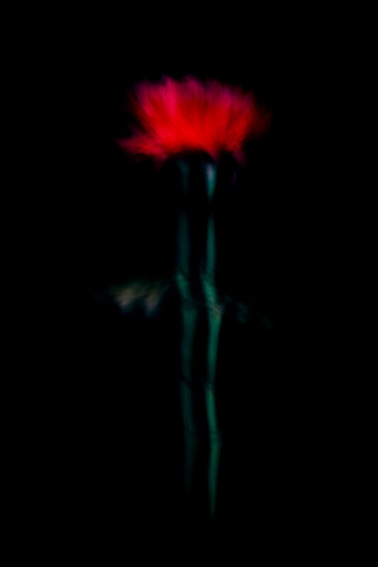 Touch #9 - Photographs>Touch - 2025 - Iren Ivanova