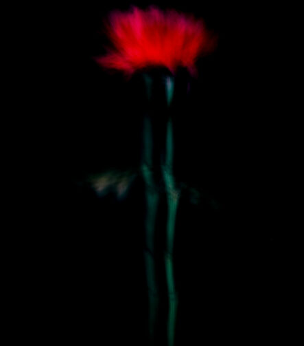 Touch #9 - Photographs>Touch - 2025 - Iren Ivanova
